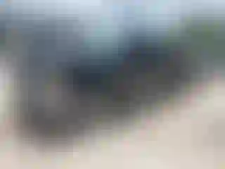 Vehicle Image- 2010 GMC Sierra