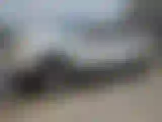 Vehicle Image- 2010 GMC Sierra