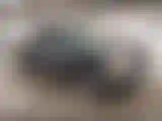 Vehicle Image- 2010 GMC Sierra