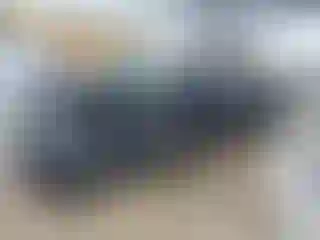 Vehicle Image- 2016 GMC Sierra
