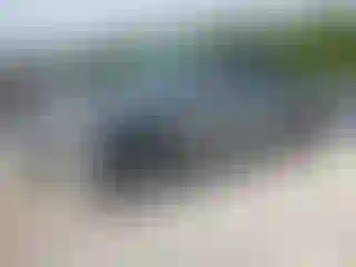 Vehicle Image- 2017 GMC Sierra