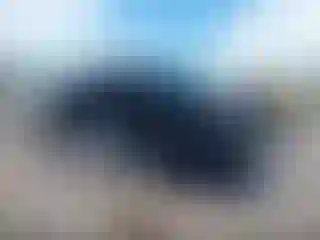Vehicle Image- 2016 GMC Sierra