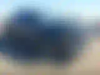 Vehicle Image- 2020 GMC Sierra