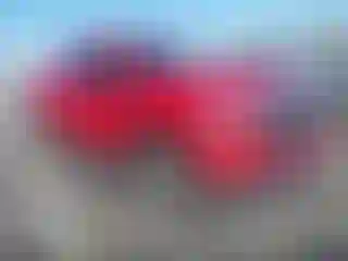 Vehicle Image- 2019 GMC Sierra