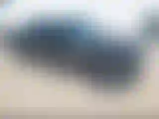 Vehicle Image- 2021 GMC Sierra
