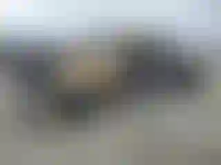 Vehicle Image- 2023 GMC Sierra