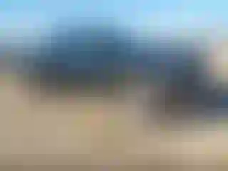 Vehicle Image- 2025 GMC Sierra