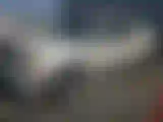 Vehicle Image- 2002 Cadillac Escalade
