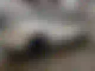 Vehicle Image- 2006 Cadillac Escalade