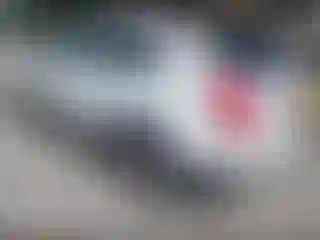 IMPORTOWO.pl