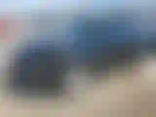 Vehicle Image- 2016 Cadillac SRX