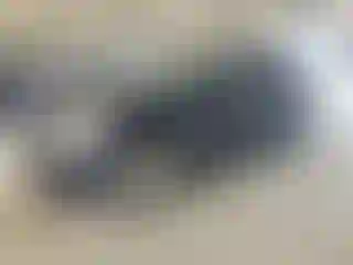 Vehicle Image- 2011 Cadillac SRX