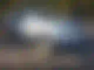 Vehicle Image- 2011 Cadillac SRX