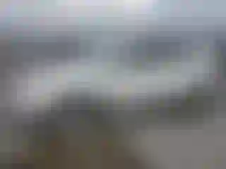 Vehicle Image- 2016 Cadillac SRX