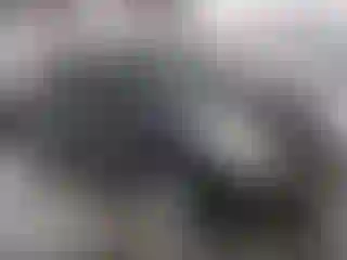 Vehicle Image- 2016 Cadillac SRX