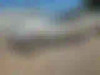 Vehicle Image- 2014 Cadillac SRX