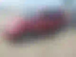 Vehicle Image- 2013 Cadillac SRX
