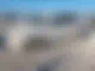 Vehicle Image- 2013 Cadillac SRX