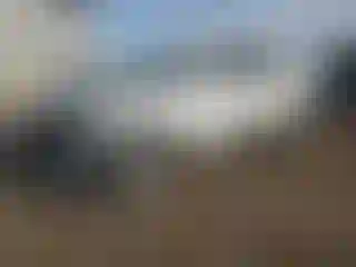 Vehicle Image- 2013 Cadillac SRX