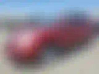 Vehicle Image- 2011 Cadillac SRX