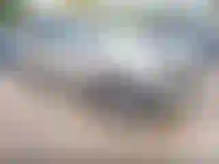 Vehicle Image- 2012 Cadillac SRX