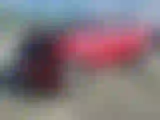 Vehicle Image- 2011 Cadillac SRX