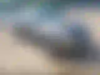 Vehicle Image- 2011 Cadillac SRX