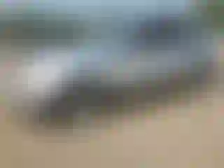 Vehicle Image- 2012 Cadillac SRX