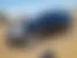 Vehicle Image- 2014 Cadillac SRX