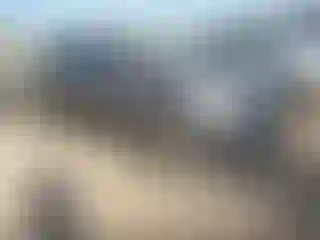 Vehicle Image- 2013 Cadillac SRX