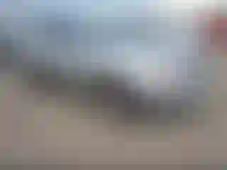 Vehicle Image- 2010 Cadillac SRX