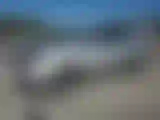 Vehicle Image- 2013 Cadillac SRX