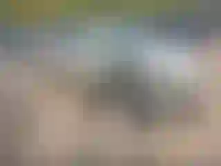 Vehicle Image- 2013 Cadillac SRX