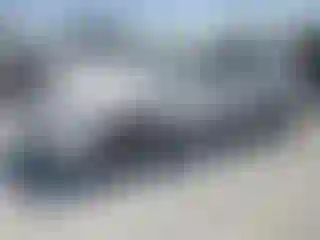 Vehicle Image- 2001 Honda Accord