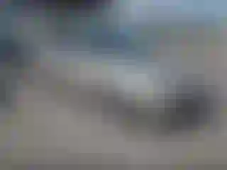 Vehicle Image- 2001 Honda Accord