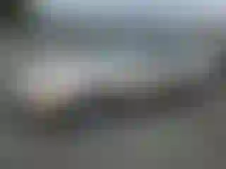 Vehicle Image- 2001 Honda Accord