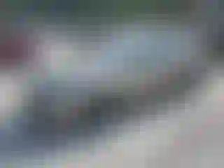 Vehicle Image- 2006 Honda Accord