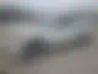 Vehicle Image- 2005 Honda Accord
