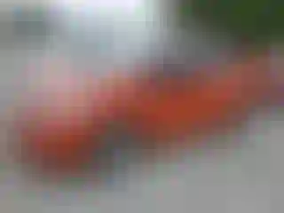 Vehicle Image- 2020 Honda Fit