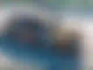 Vehicle Image- 2019 Kia Rio