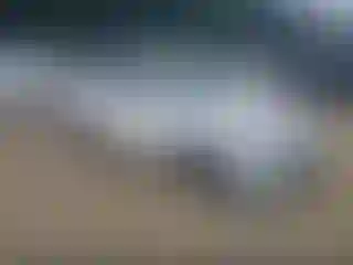 Vehicle Image- 2020 Kia Rio