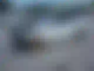 Vehicle Image- 2020 Kia Rio