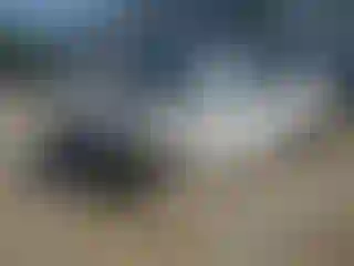 Vehicle Image- 2021 Kia Rio