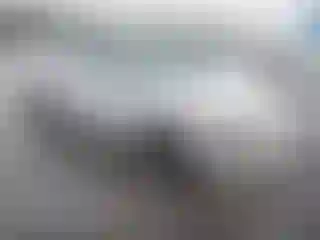 Vehicle Image- 2023 Kia Rio