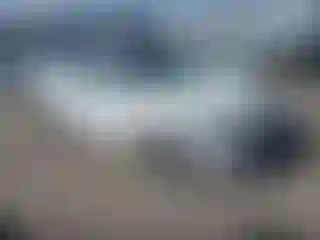 Vehicle Image- 2020 Kia Rio