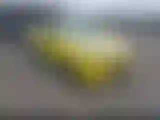 Vehicle Image- 2018 Kia Rio