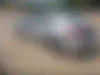 IMPORTOWO.pl