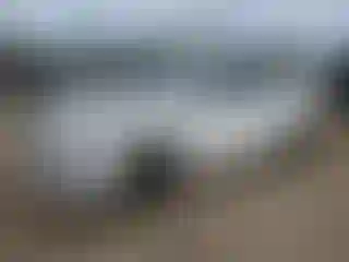 Vehicle Image- 2019 Hyundai Accent