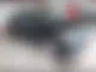 Vehicle Image- 2019 Hyundai Accent