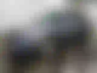 Vehicle Image- 2019 Hyundai Accent